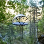 a rope bridge in the middle of a forest